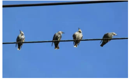 电线电缆快速硫化生产的硫化工艺及参数（一）